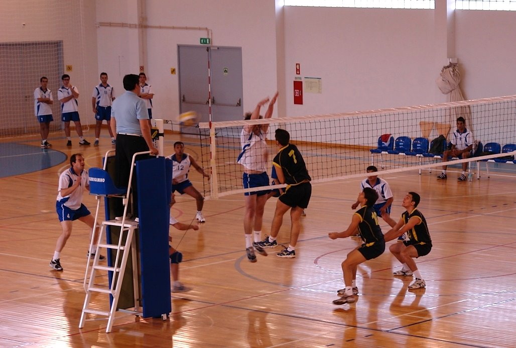 [DSC05252.JPG]