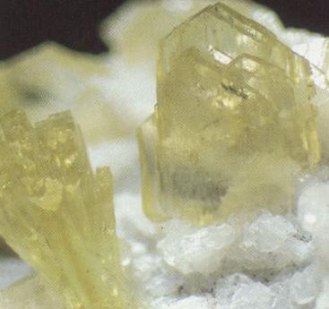 [Adamita_cristal2.JPG]