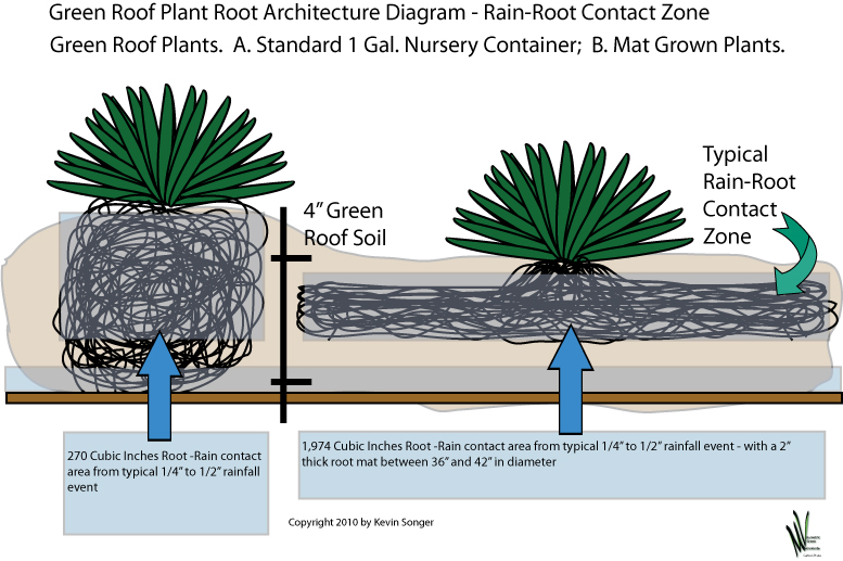Kevin Songer, Journaling Organic Languages of Nature Green Roof Plant Root Architecture