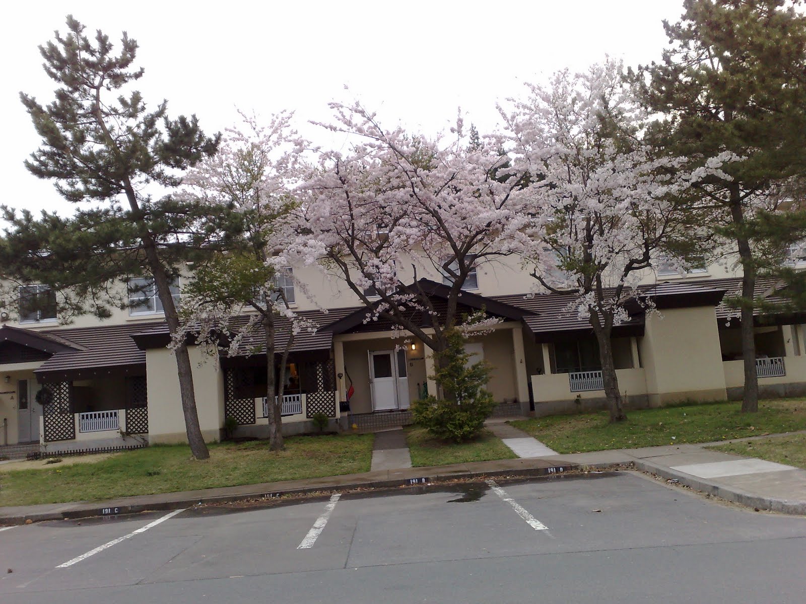 Misawa Japan Air Base