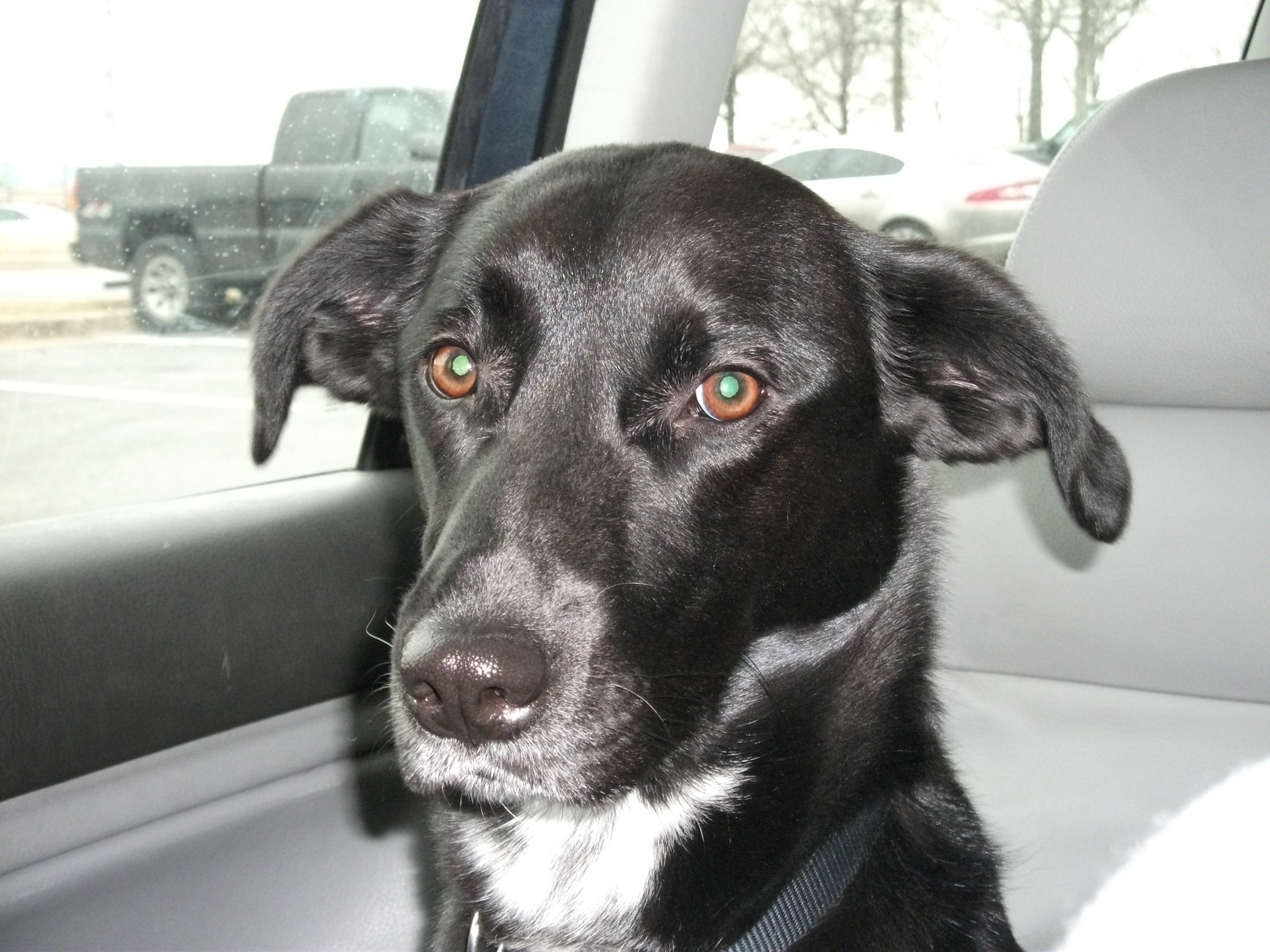 As Good As You Are Frederick Maryland Hunt for Thrift Stores