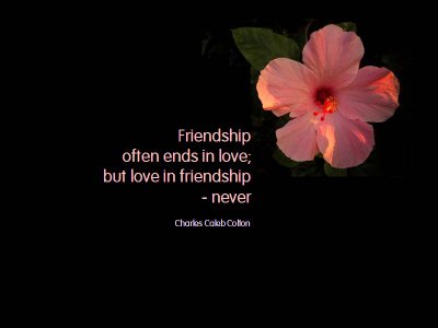 KnowCrazy.com: friendship quotes [updated]