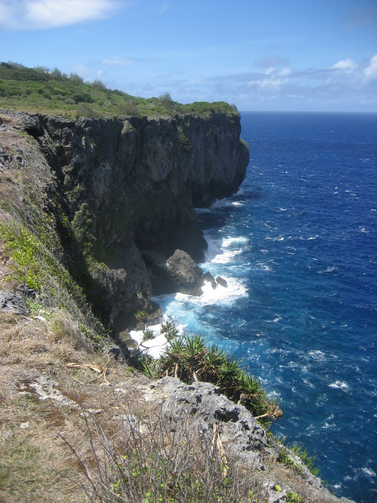 Intensive Share: Tonga Holiday, part 4