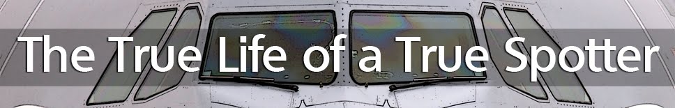 The True Life of a True Spotter