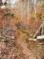 Hiking trail - Portion of the Big Valley trail at Big Ridge State Park