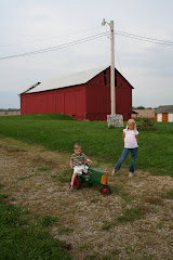 A day on the Farm