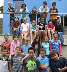 Room 6 Class Picture