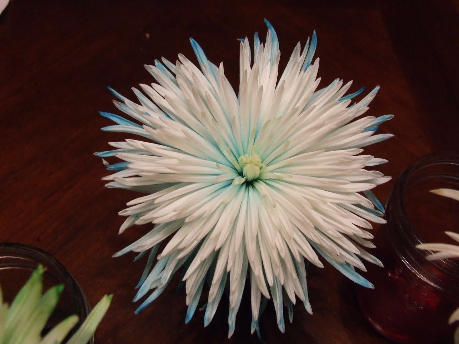 Akridge Academy Food Dye in Flower Water