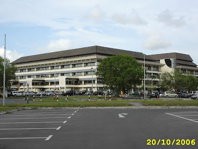 Irene's Green Green Grass of Miri: Lutong (2007)