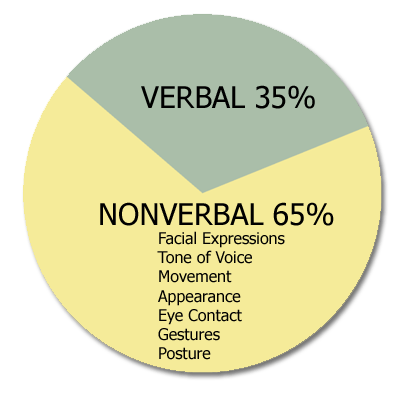 Describe the principles of verbal and nonverbal communication