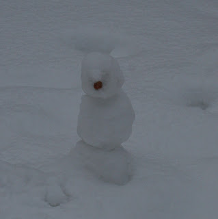 D-'s snowman