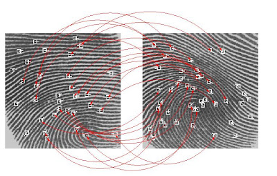 Fingerprint Matching Worksheet Answers