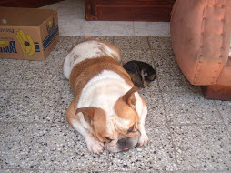 FOREVER AND EVER ....