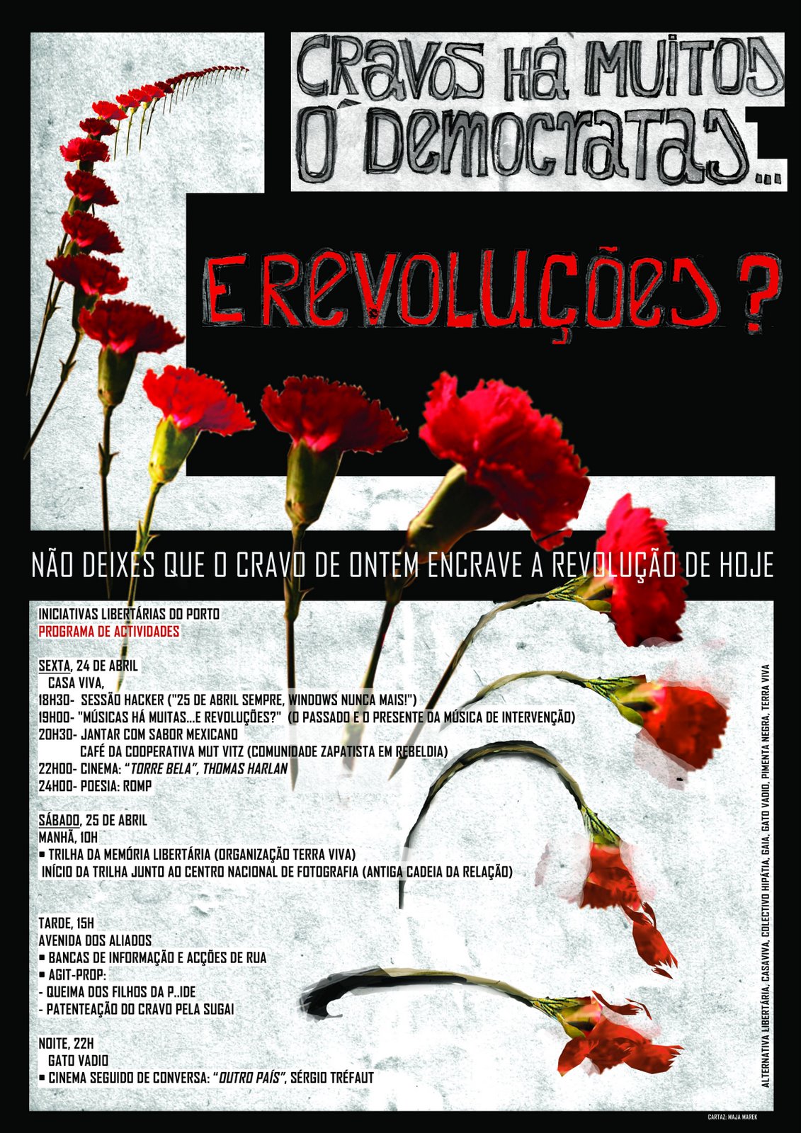 [cravos+há+muitos.jpg]