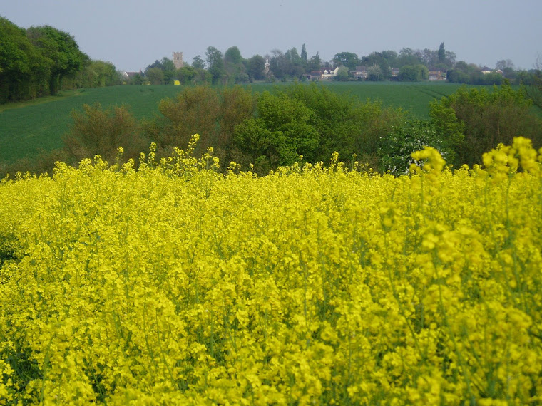 Willingale, Essex