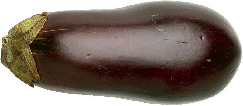 [eggplant[1].jpg]