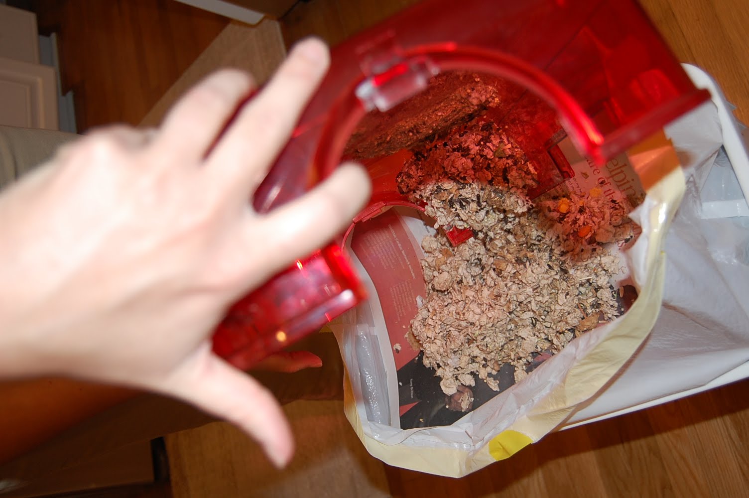 Ashley Glanzer Photography How to clean a hamster's cage