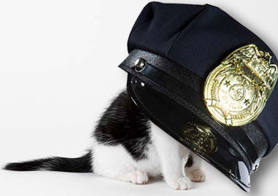 CatPolice.jpg