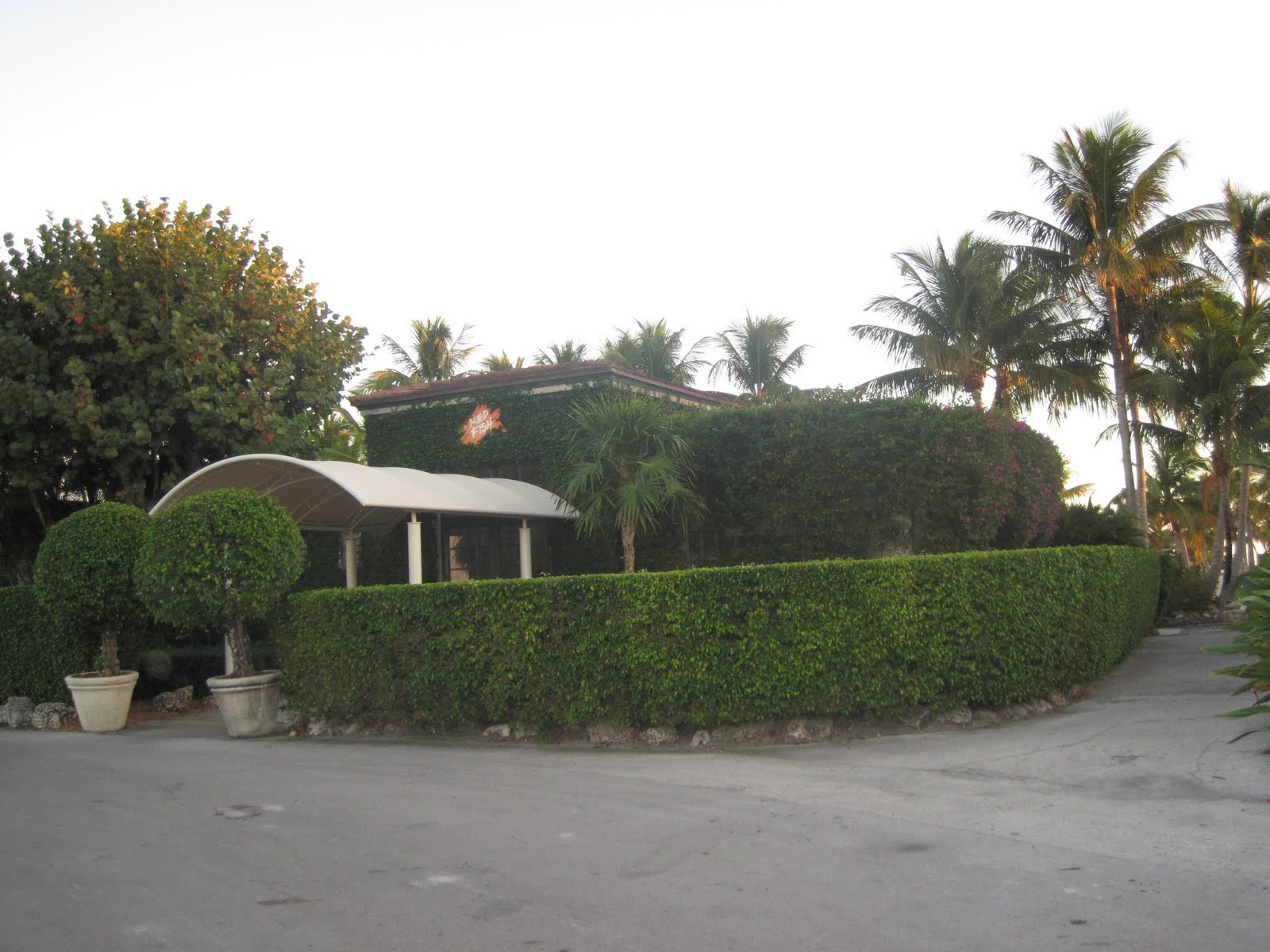 JetSet Coco Red Fish Grill Miami