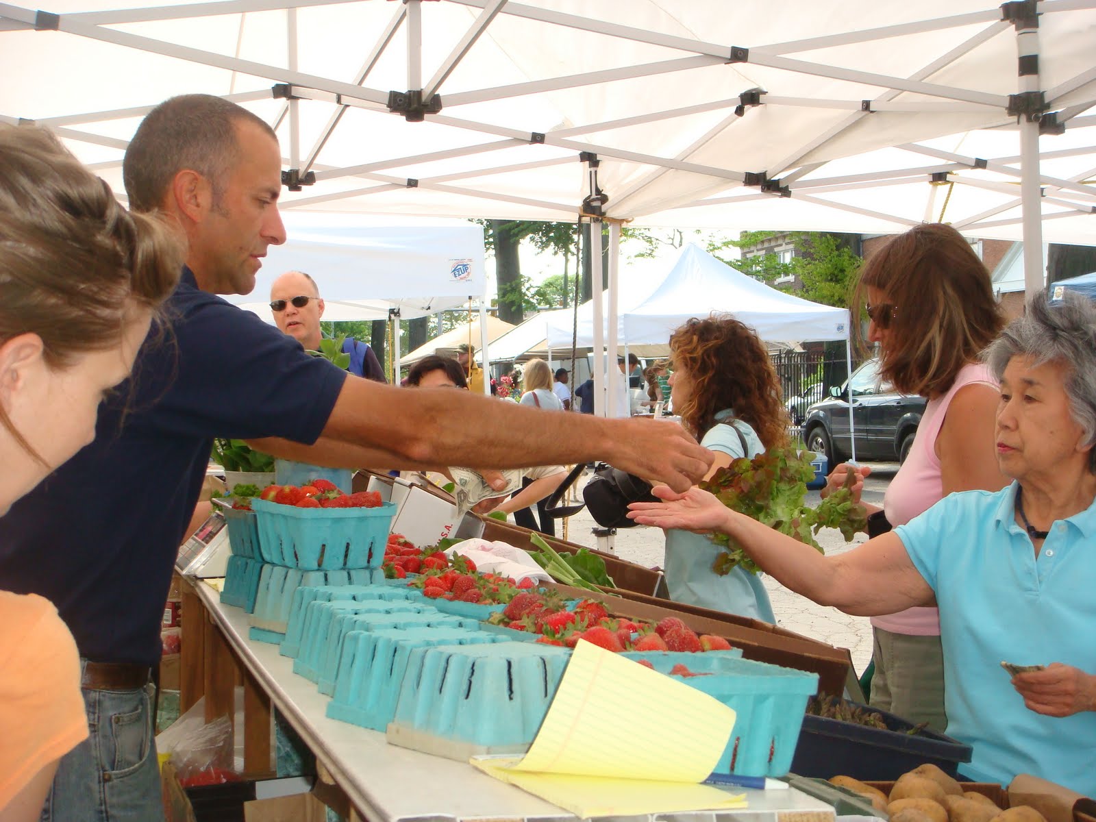 BRYN MAWR FARMERS MARKET May 2010
