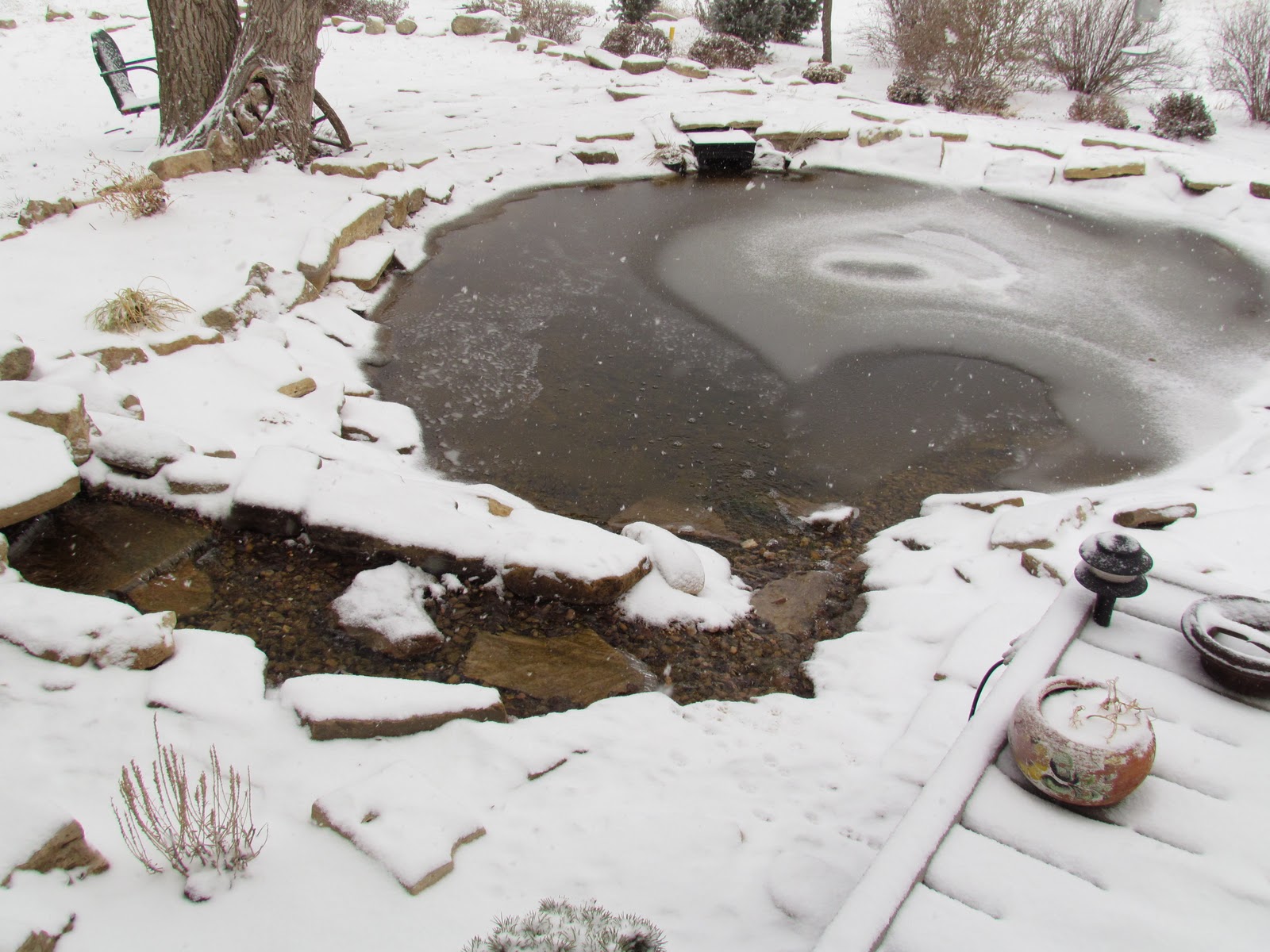 There's no place like Home On Frozen Pond