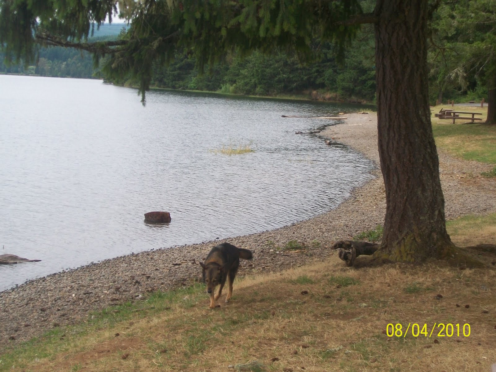 Our Family Blog: Cottage Grove Lake-Lakeside Park