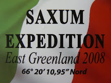 Logo Saxum