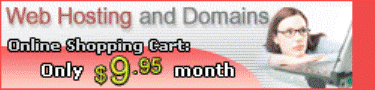 Web Hosting and Domains $9.95