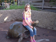 How to ride a turtle!!
