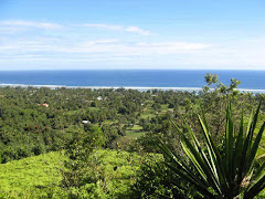 Raratonga from the top of the hill