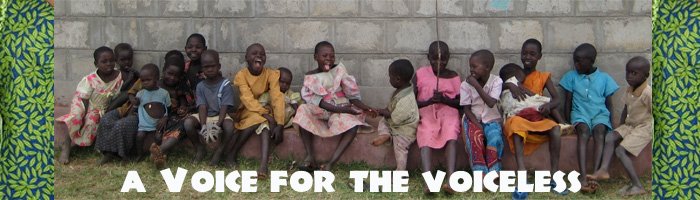 A Voice for the Voiceless