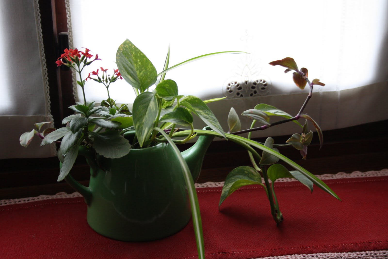 Il coltello di Banjas: marzo 2010