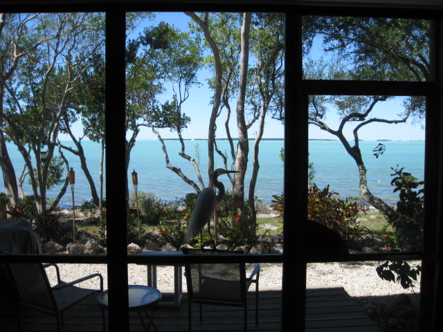 View from our Florida Window