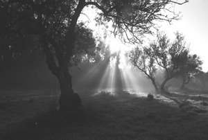 Fotografos de Coimbra