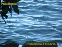 PaluRoma FotoArte