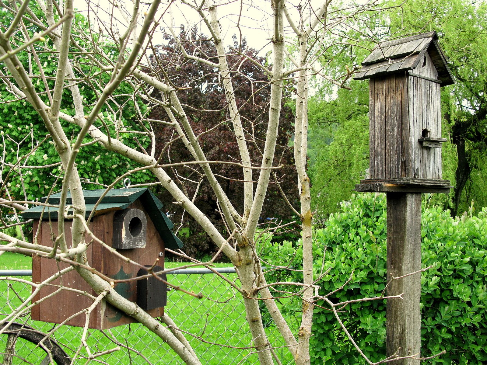 [IMG_1663.JPG]