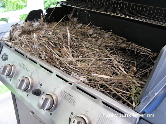 blue Robin's eggs in a nest in a grill / FunkyJunkInteriors.net