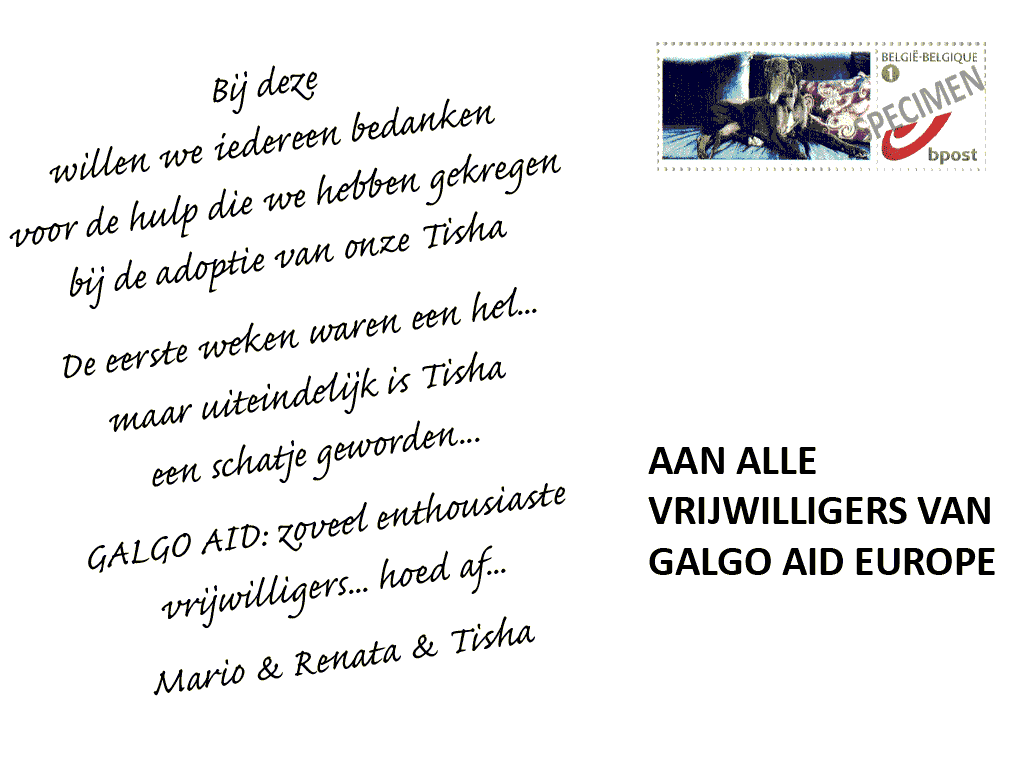 Spiksplinternieuw Welkom op het blog van Galgo Aid Europe: dankwoord voor AL de ND-28