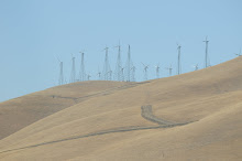Outside of Oakland Area