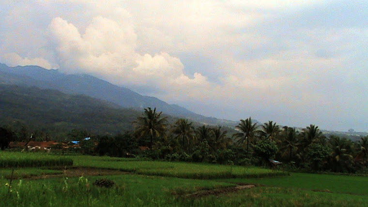 kampung halaman bumiayu ,pebruari 2009