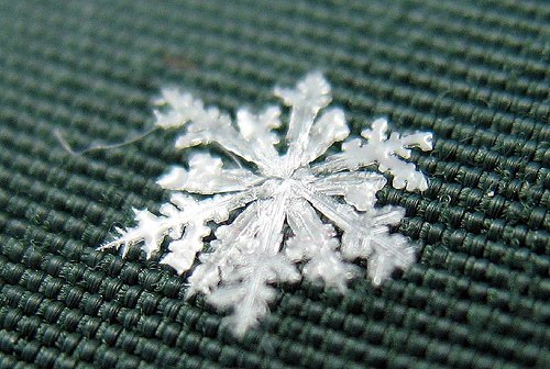 Artistic Snowflake Shapes 9
