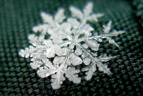 Artistic Snowflake Shapes 8