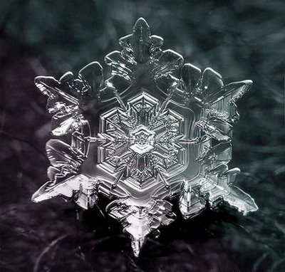 Artistic Snowflake Shapes 4