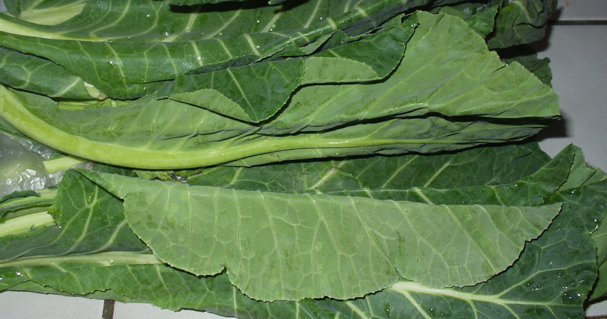Collard Greens Uk Buy Angel Vegetable
