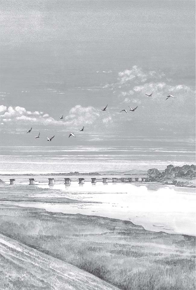 [Un_ciel_radieux_3.jpg]