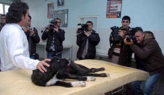 [Jonah+Hurriyet.jpg]