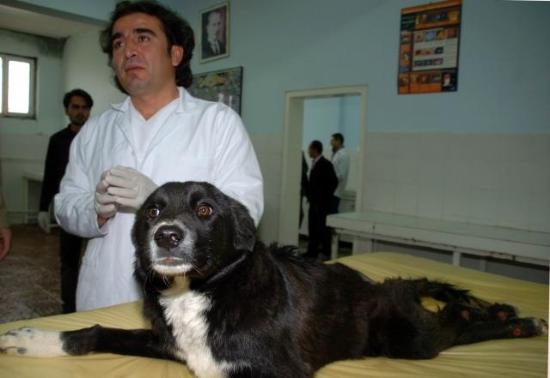 [Jonah+latest+2.jpg]