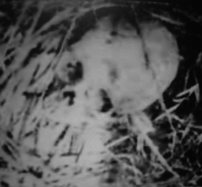 [Los+cadáveres+(005).JPG]