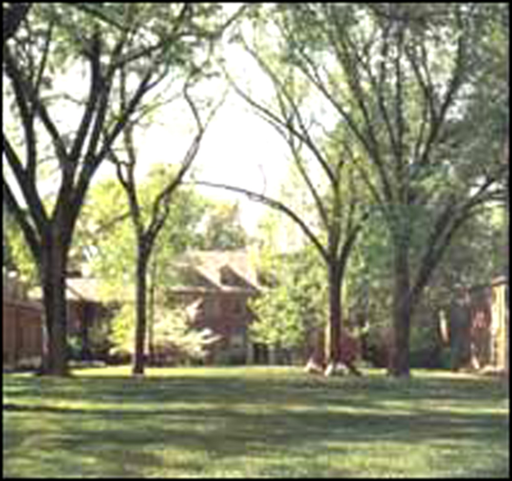 [Colegio+Madeira+(001).jpg]