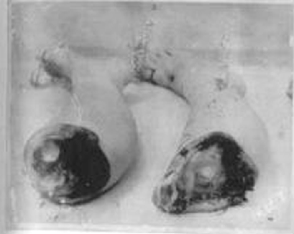 [El+cadáver+de+Samuelson+(005).jpg]